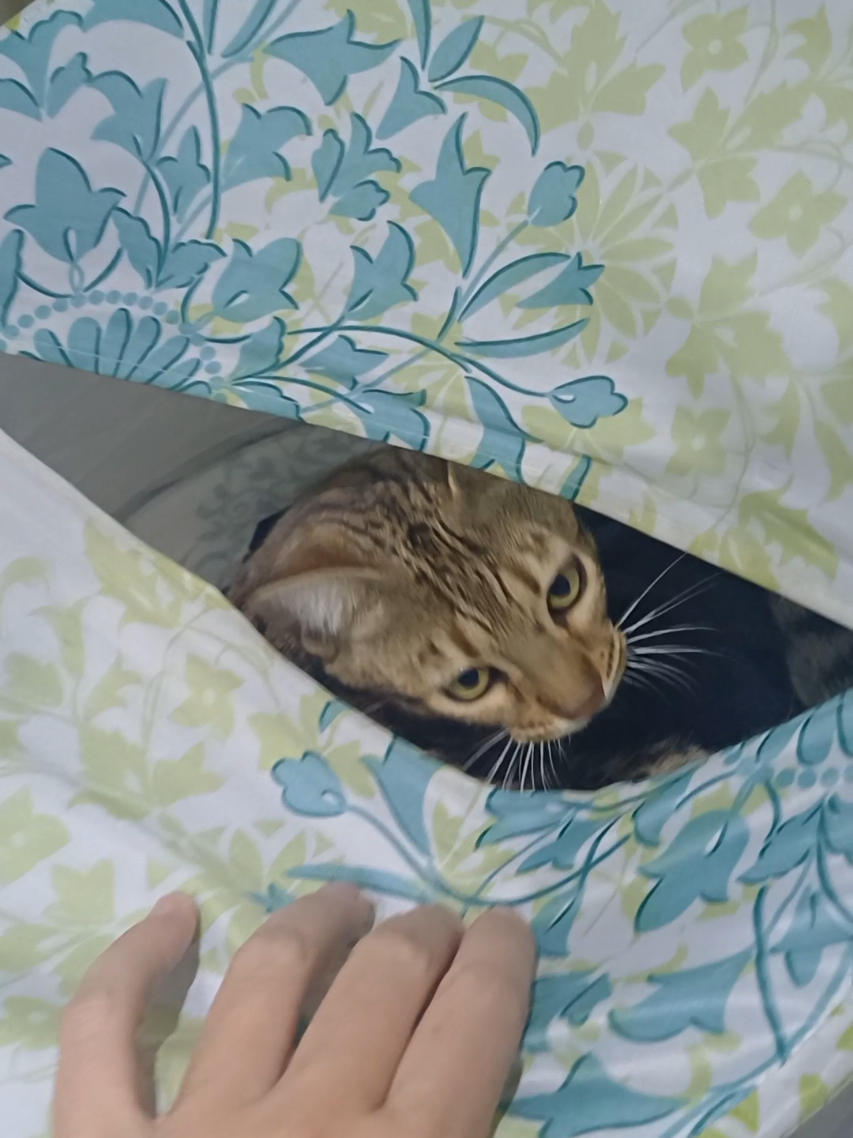 @Rio.supercat