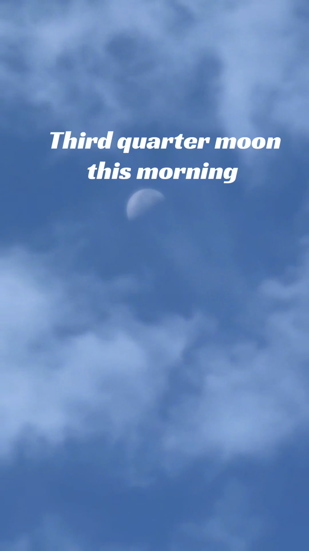 @𝑪𝒉𝒂𝒏𝒐/𝐏𝐚𝐮𝐥