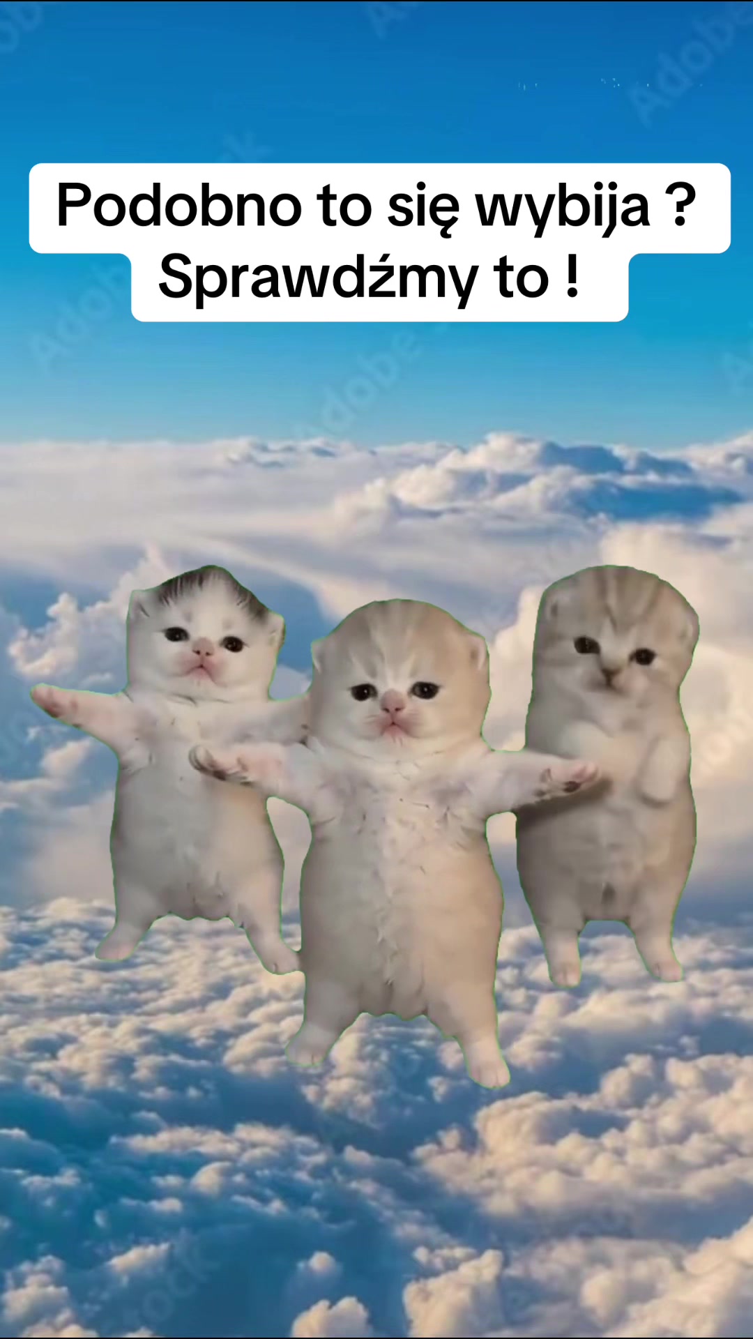 @Karo_hi