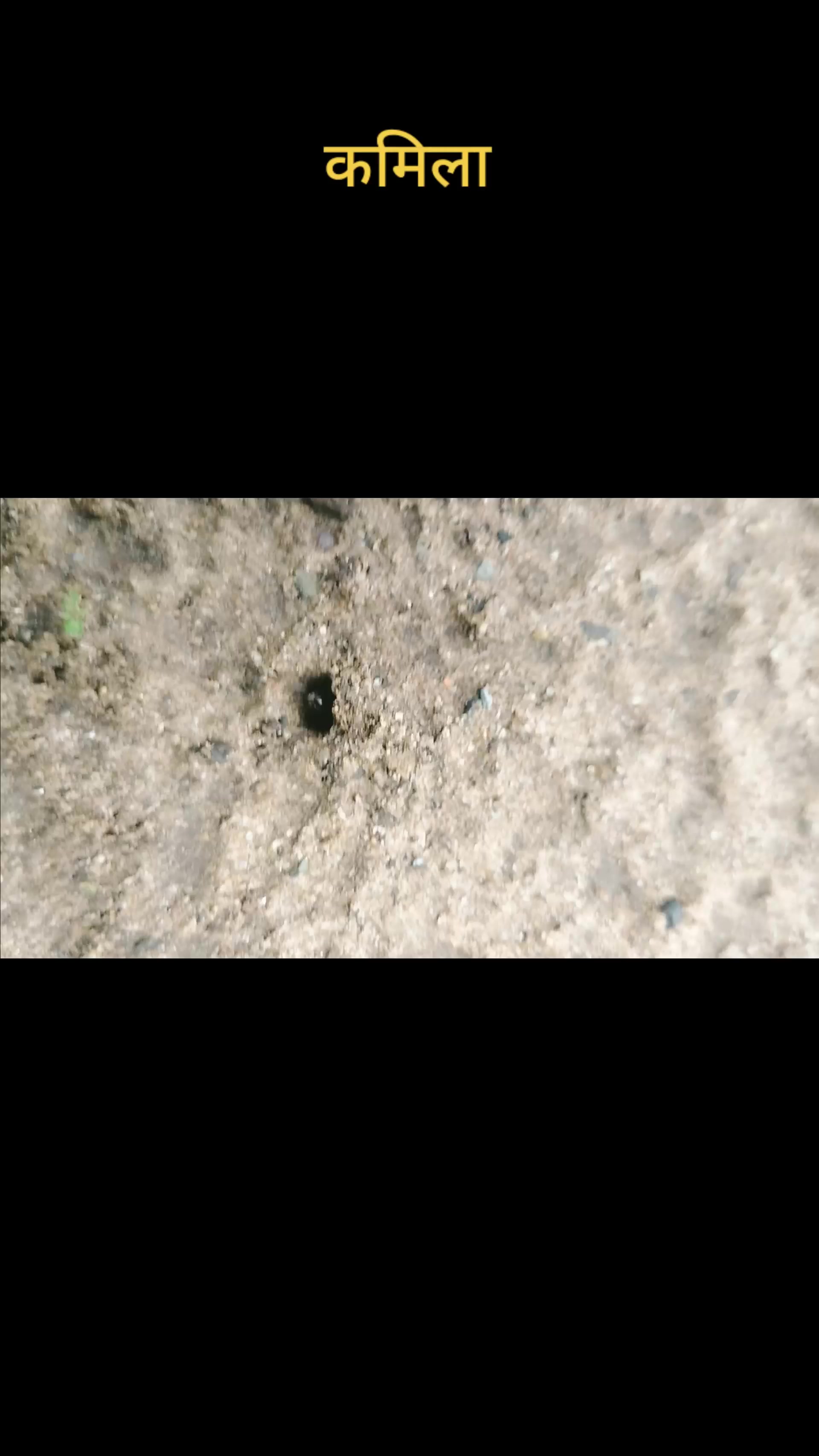 @सम्बृद्दी ड्राइभिङ्ग सेन्टर