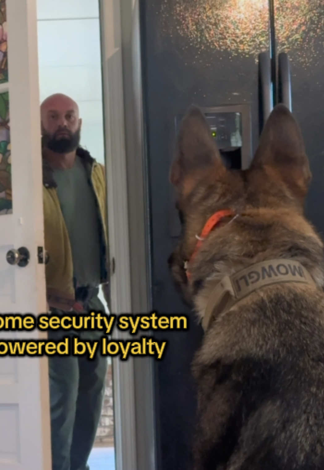 @True Guard K9 I Tara