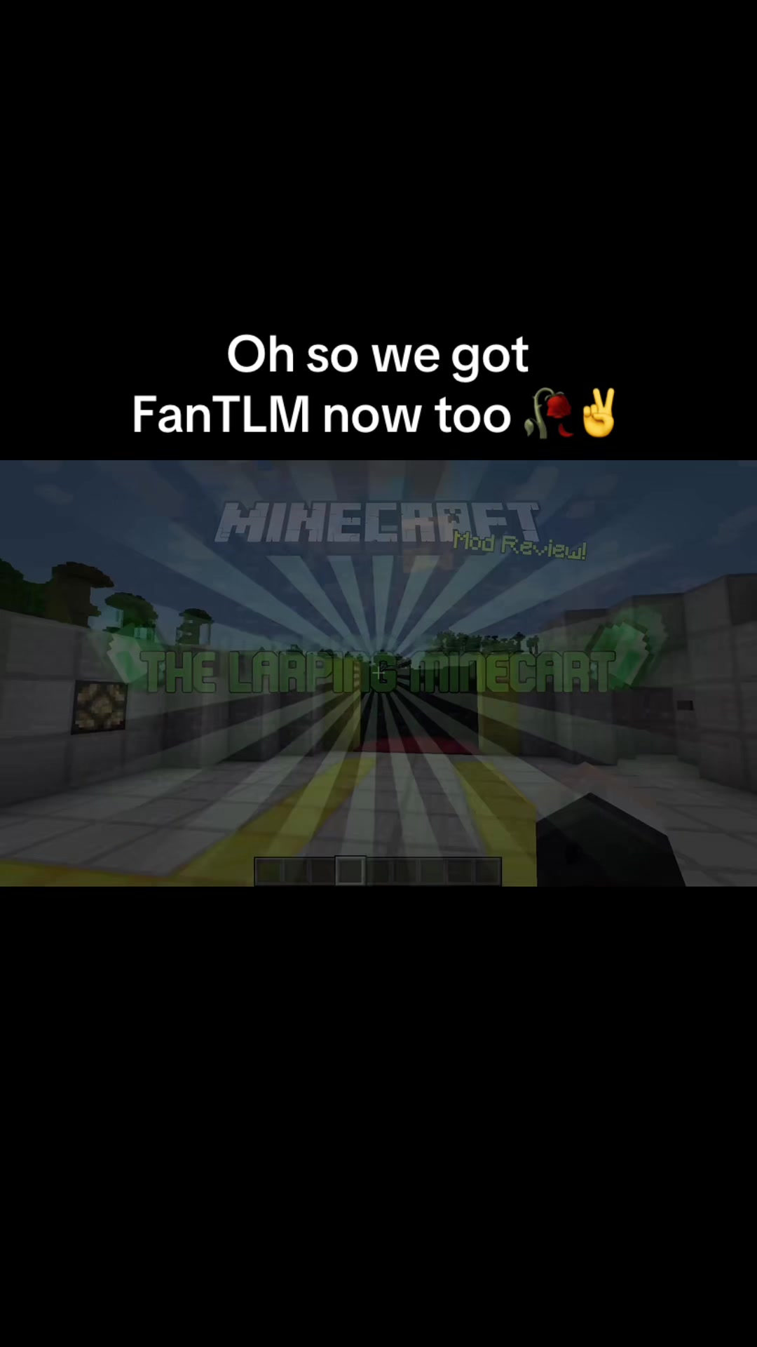 @FanTLM
