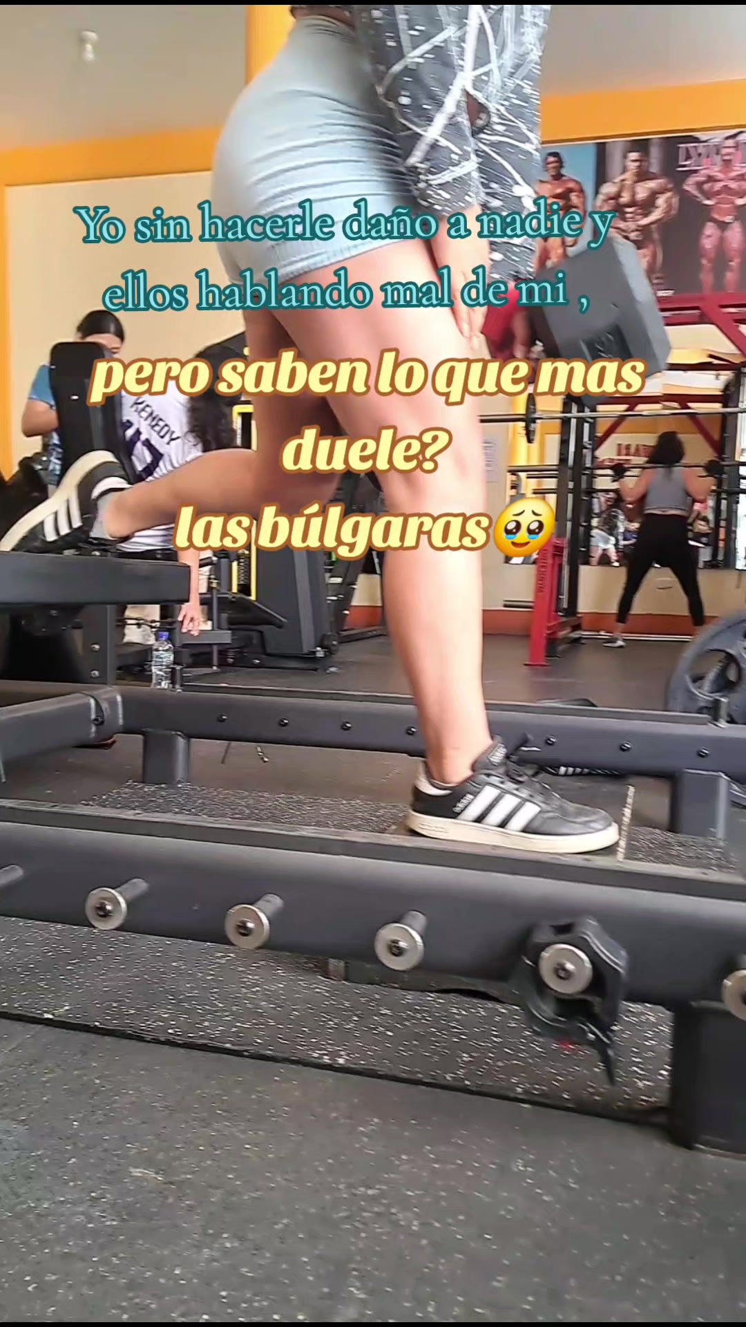 @Greis