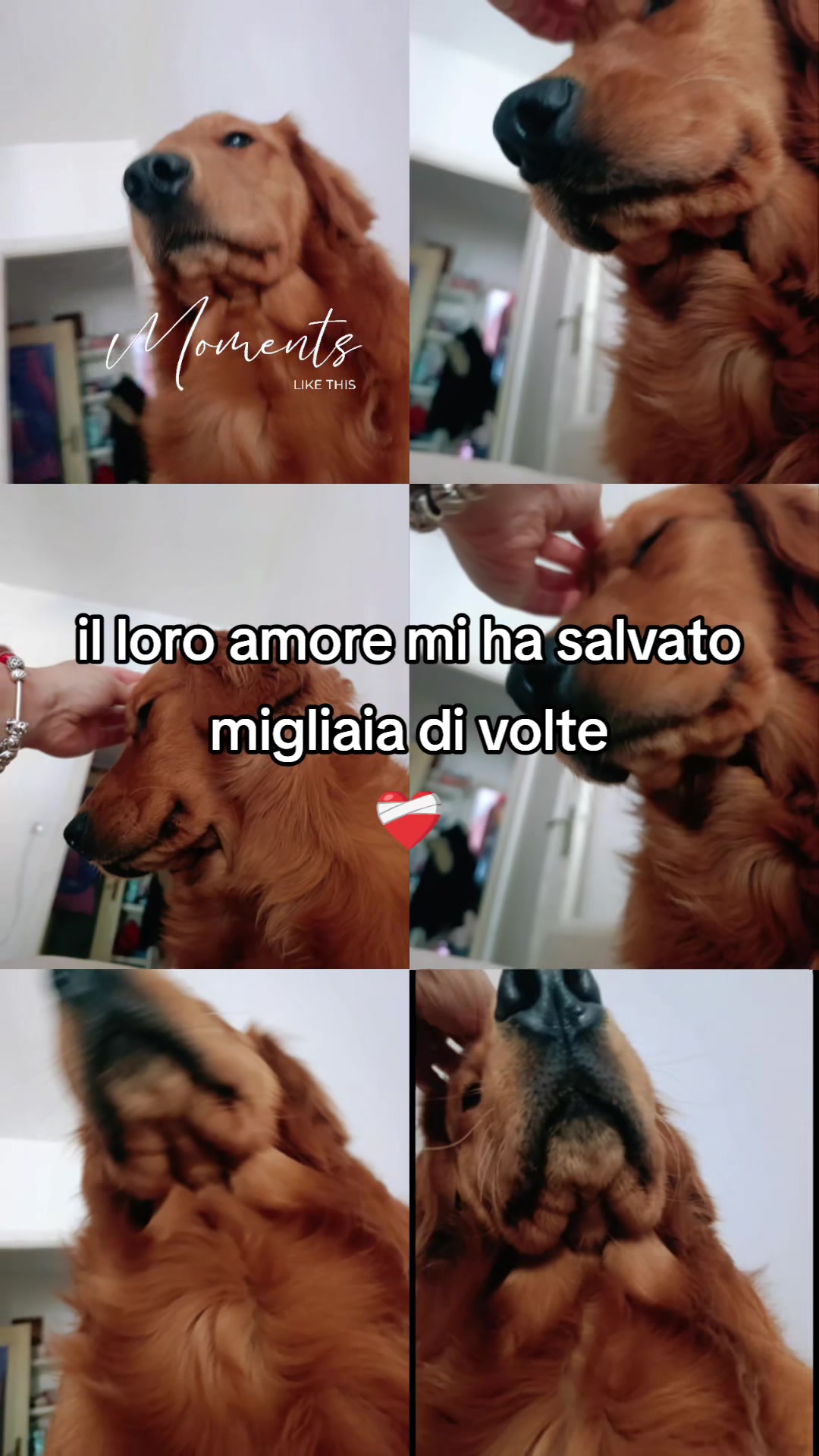 @Roberta Cucco