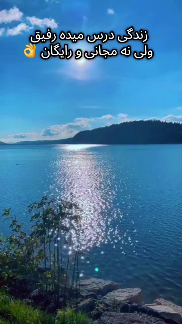 @sirous.shafi