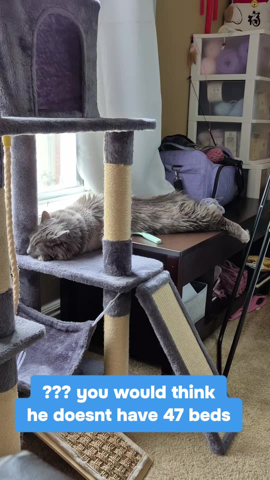 @Kittyboi
