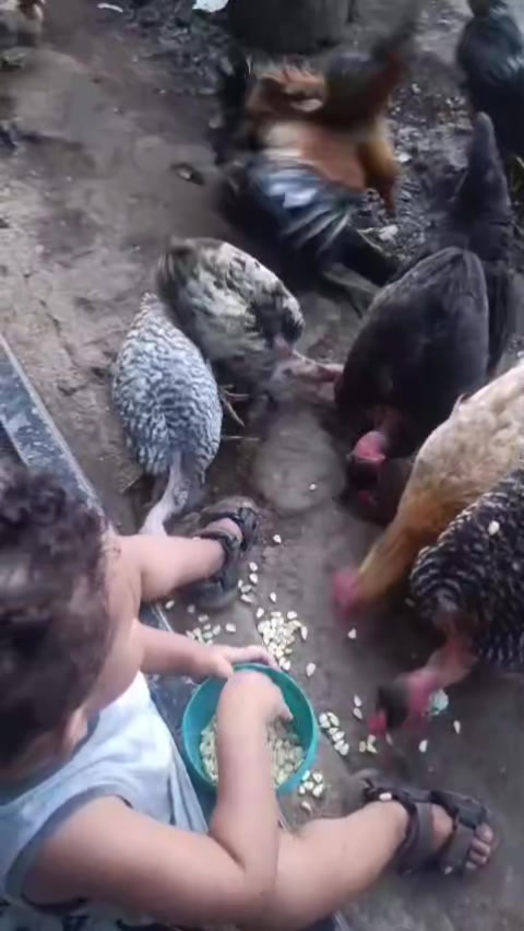 @Sarita