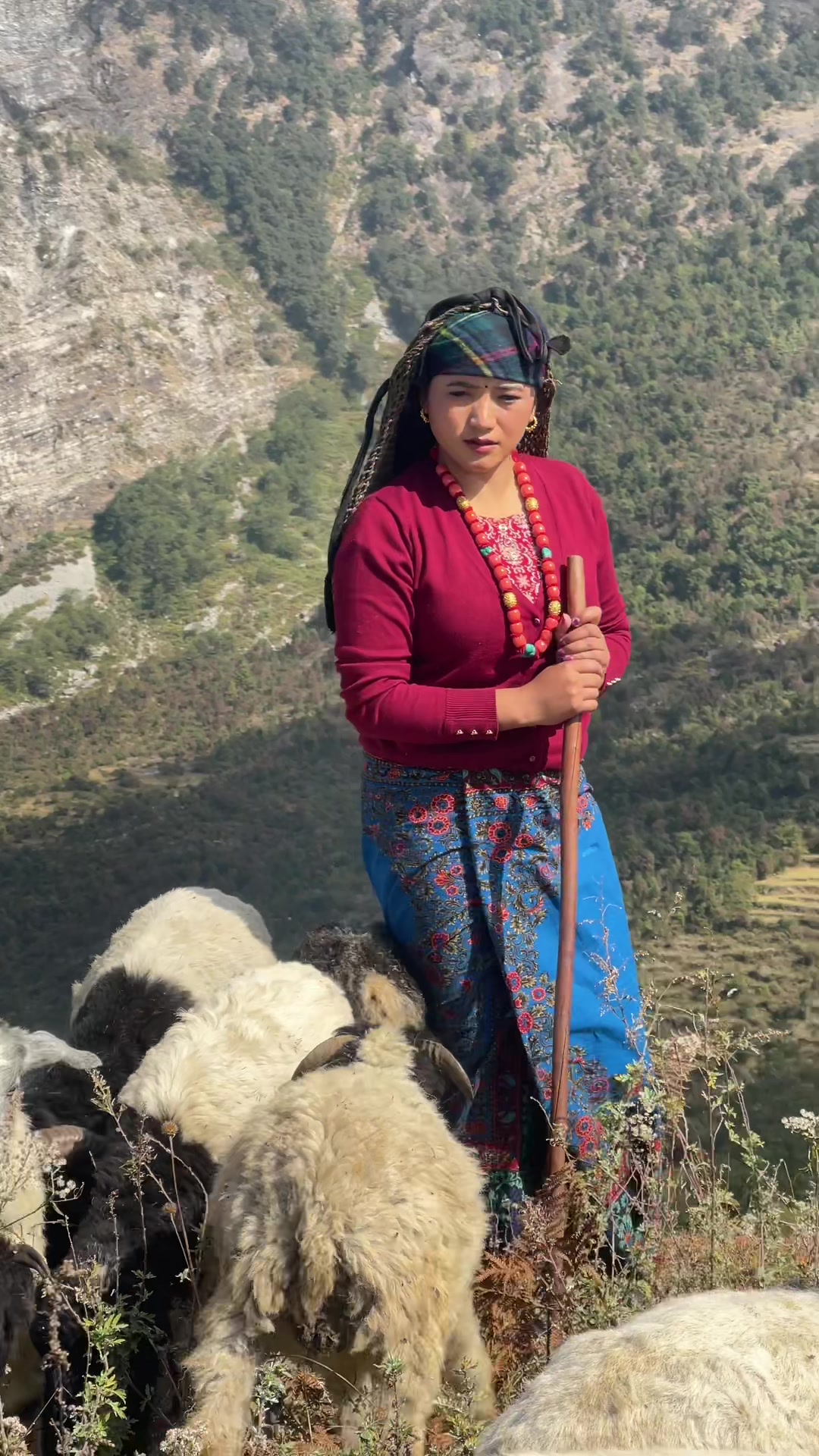 @Juna gurung ✨