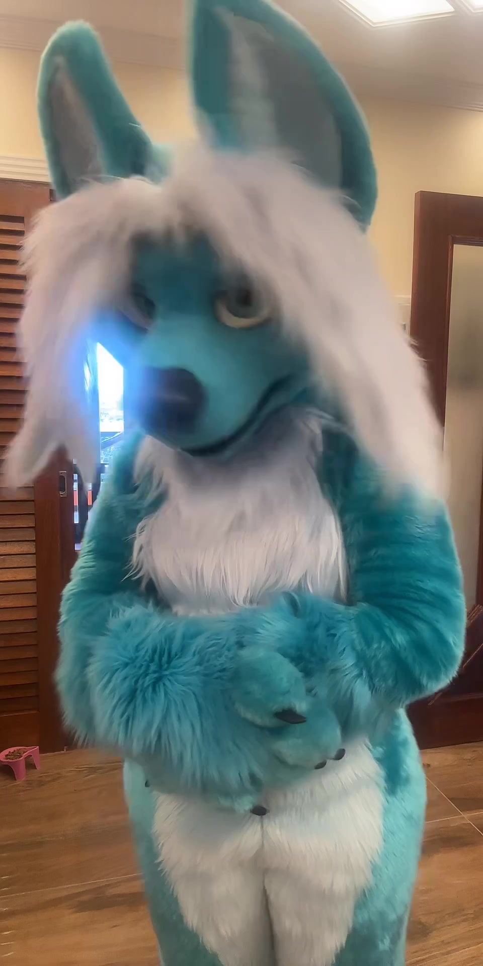 @Cindy fox