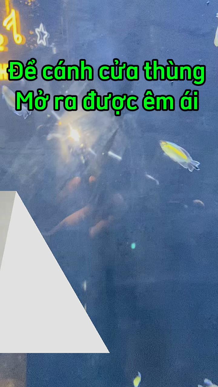@Phụ kiện &ocirc; t&ocirc; Ho&agrave;ng B&aacute;ch