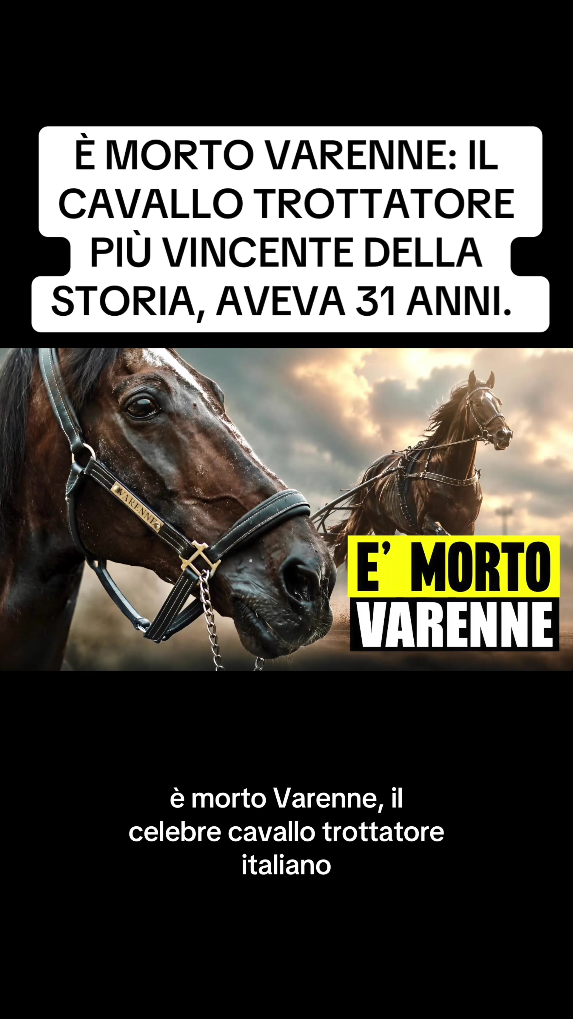 @flashtv_notizie