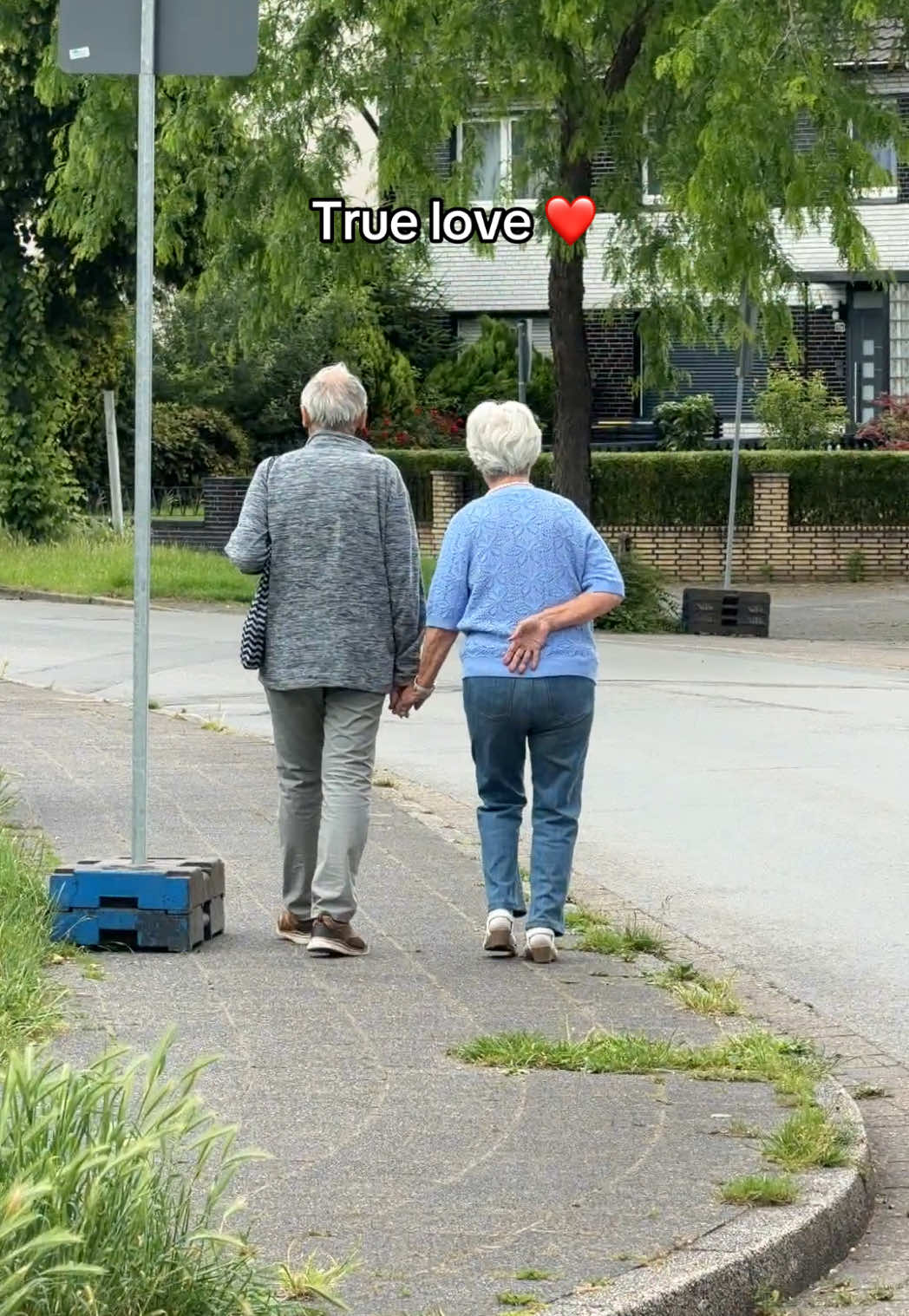 @Ilaria
