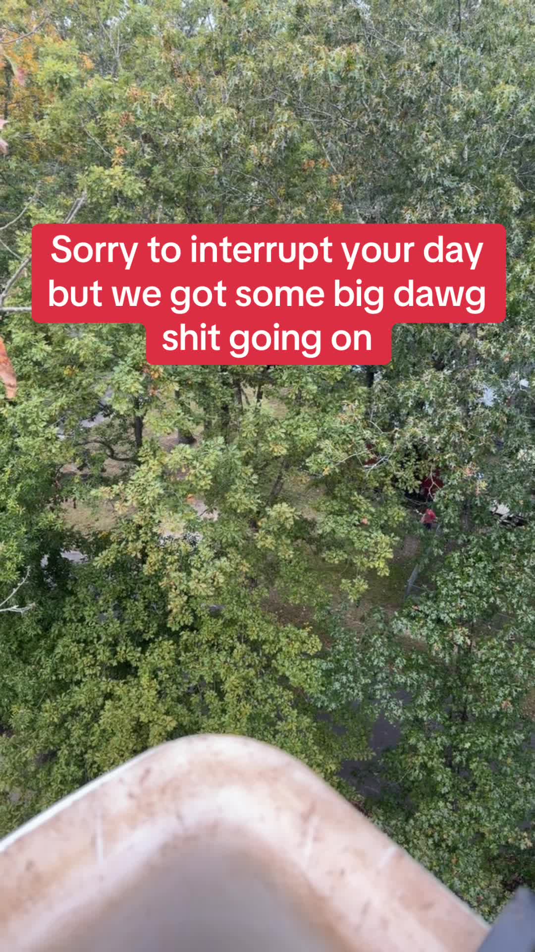 @Buzzsawtrees