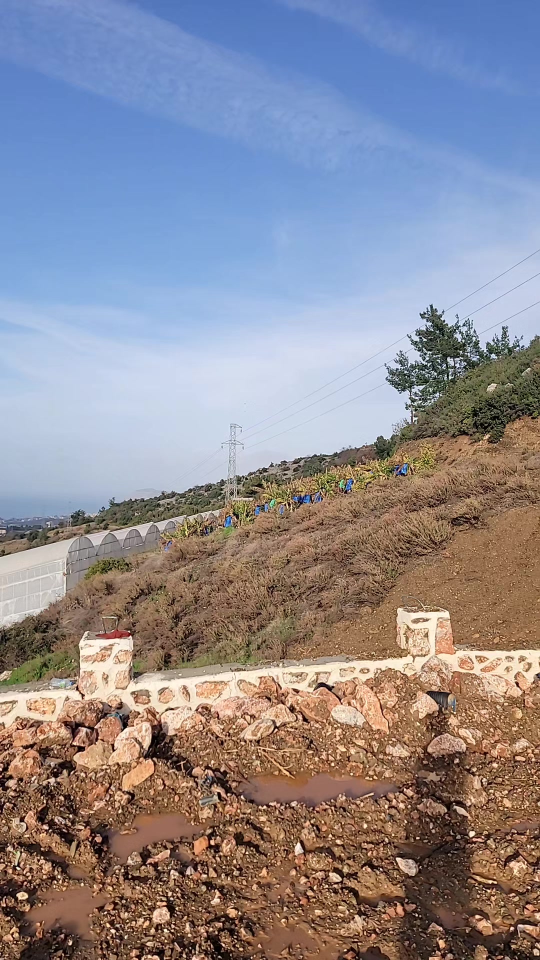 @محمود بدر