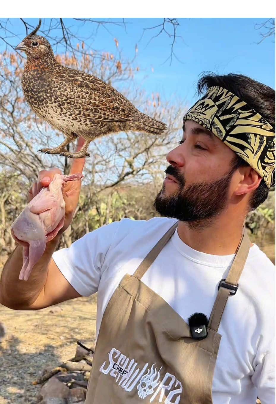 @Chefschwarz