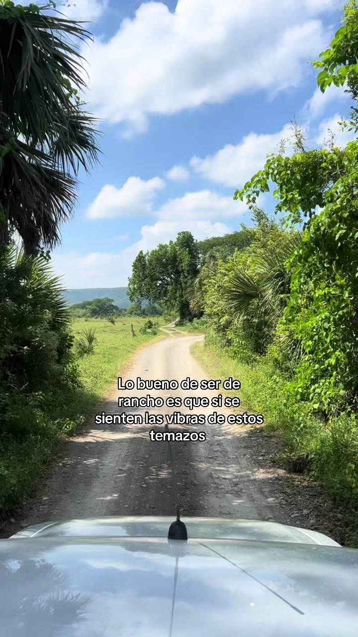 @𝓐𝓻𝓪𝓶𝔂 𝓡𝓿
