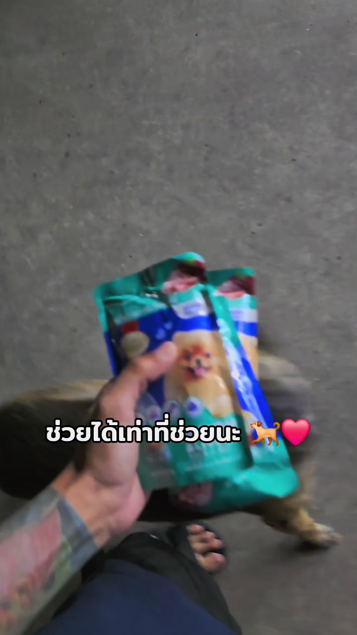 @อาร์ม วุฒิกร
