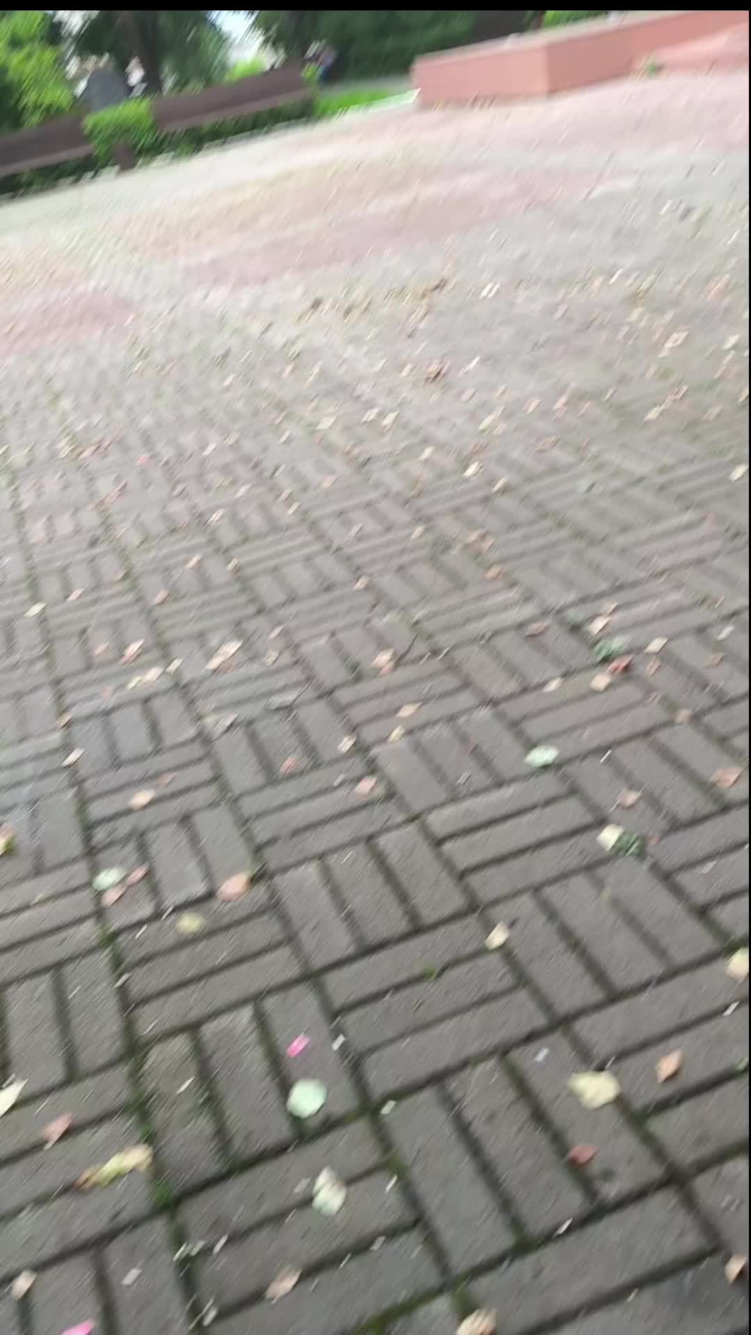 @noclippsee