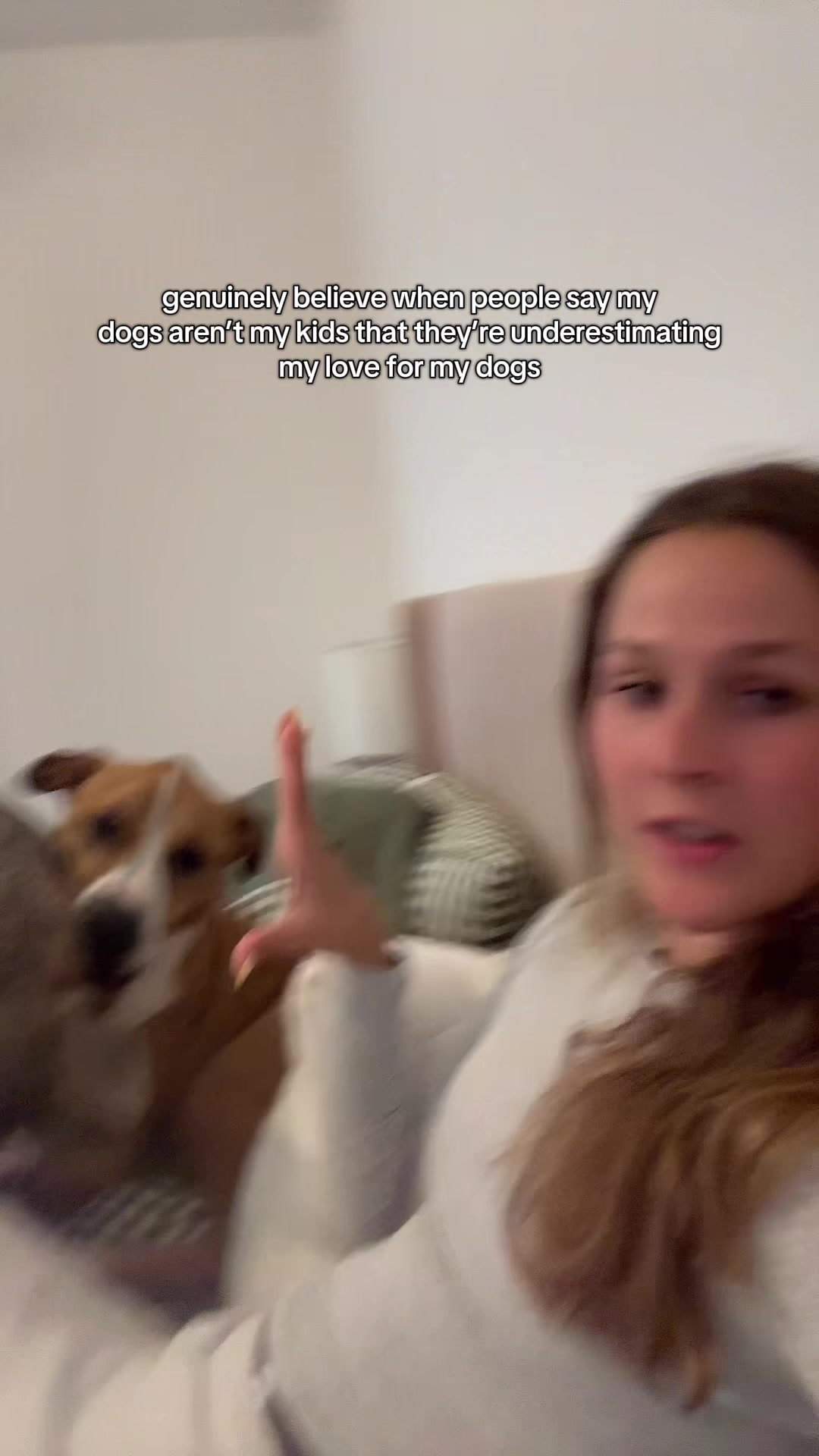 @Abby KPA-CTP | Dog Trainer
