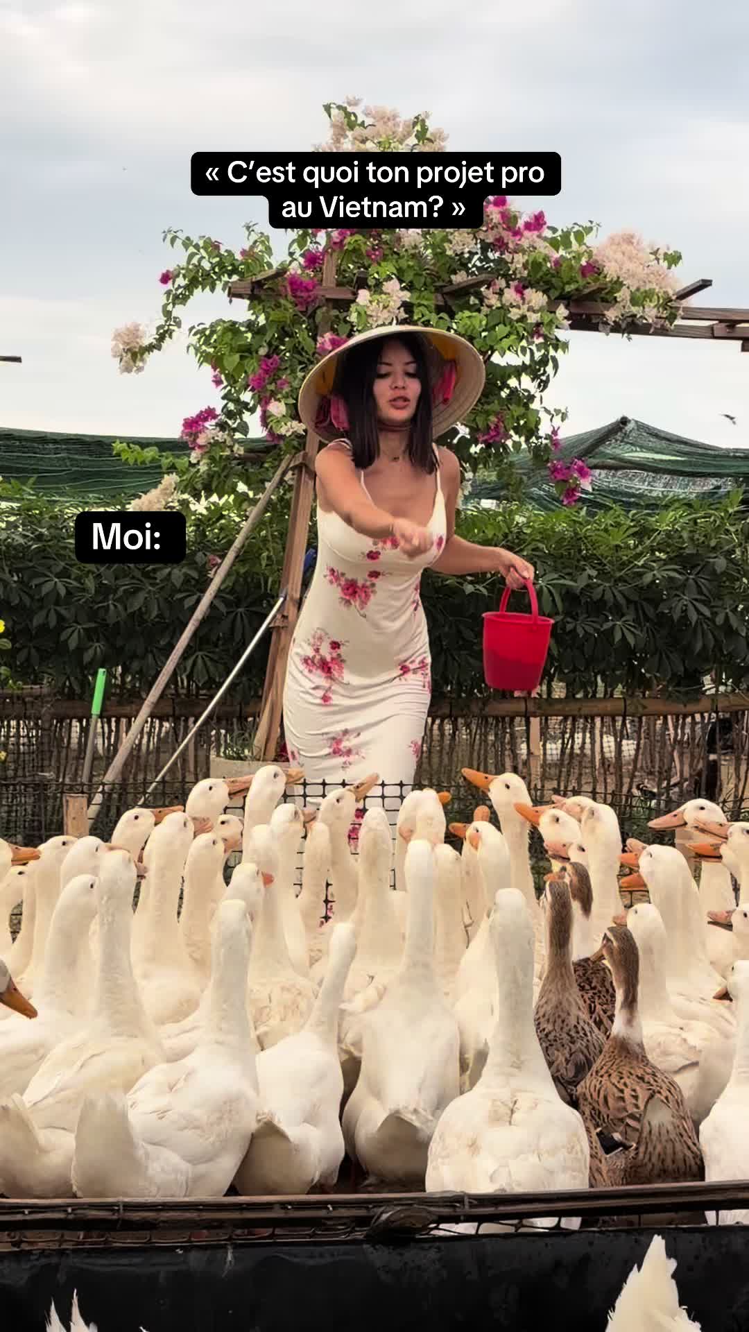 @lilou_vietnam