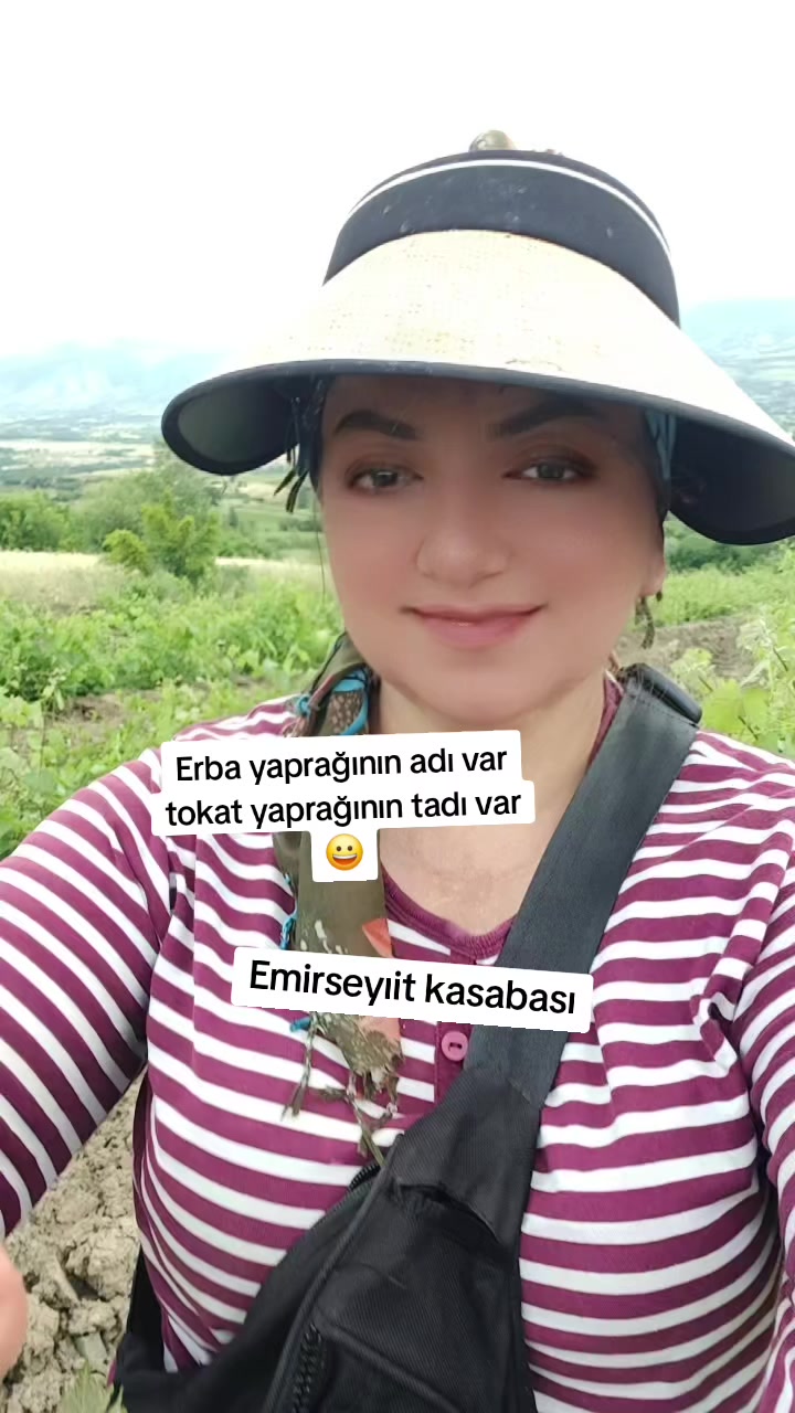 @Ebruli 6060