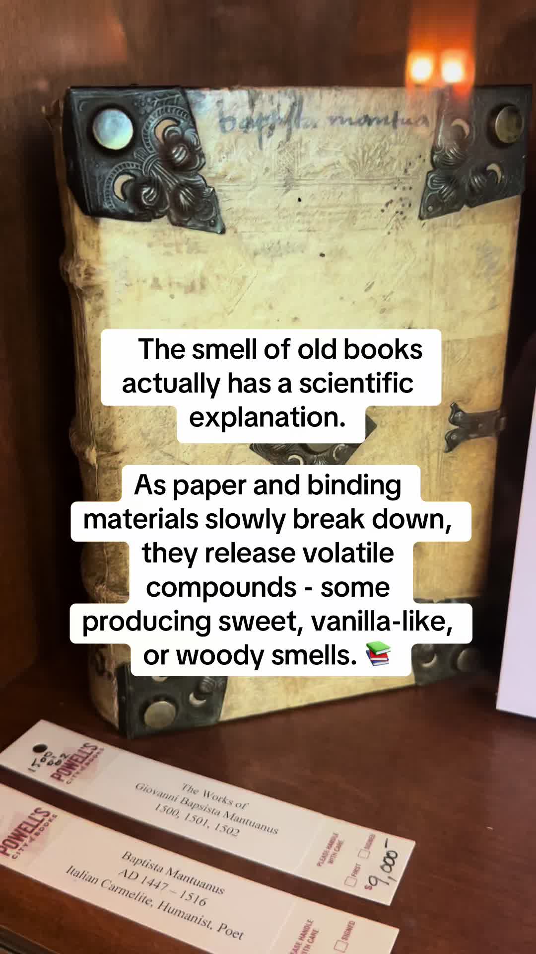@Amy Lola 📚🧩🧶🥾