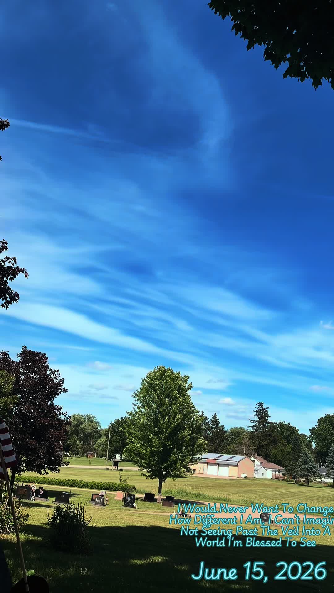 @Abigayle