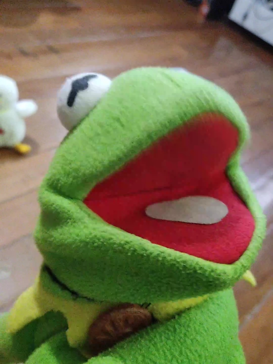 @RanitaAlva🐸