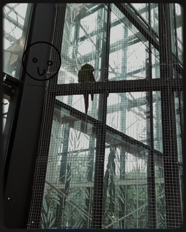@BMW.