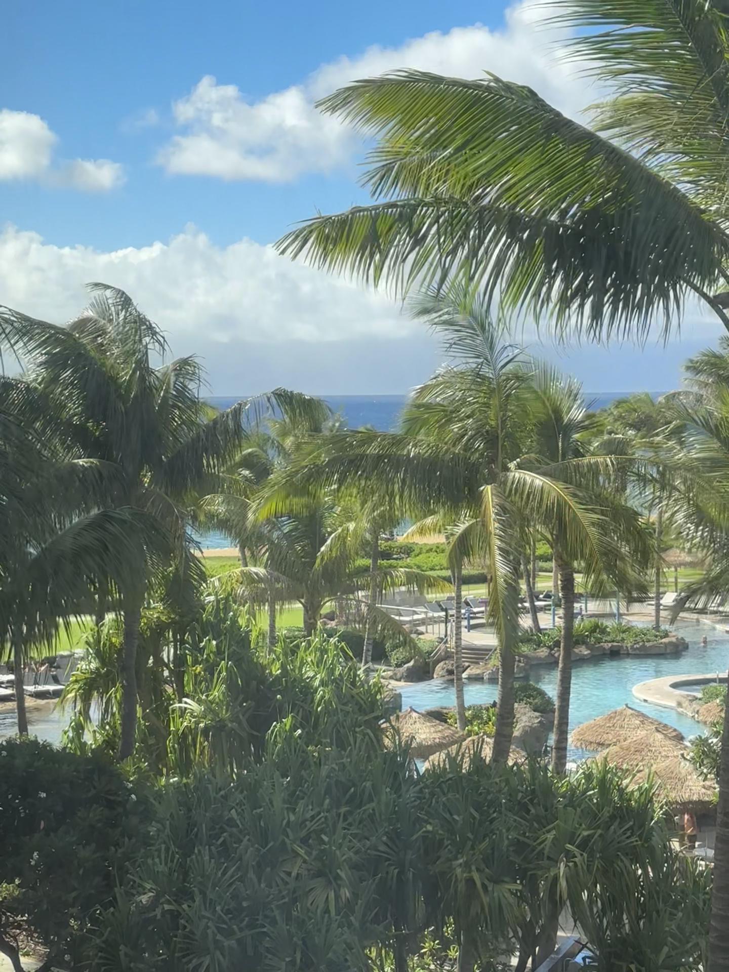 @Brian  🌊🛩️