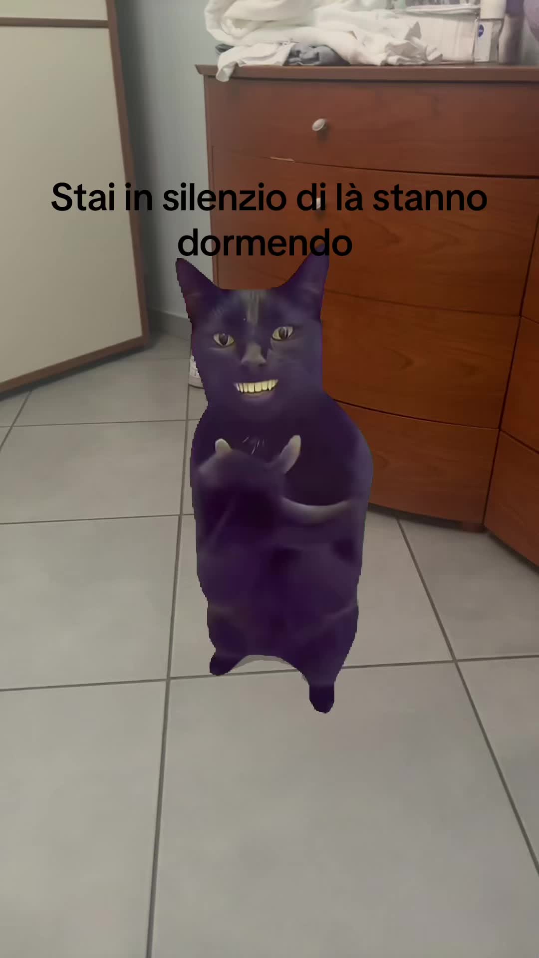 @Valentina 🇧🇷😍❤️