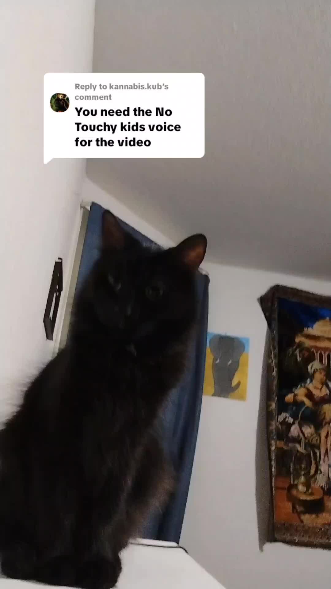 @Mommykins