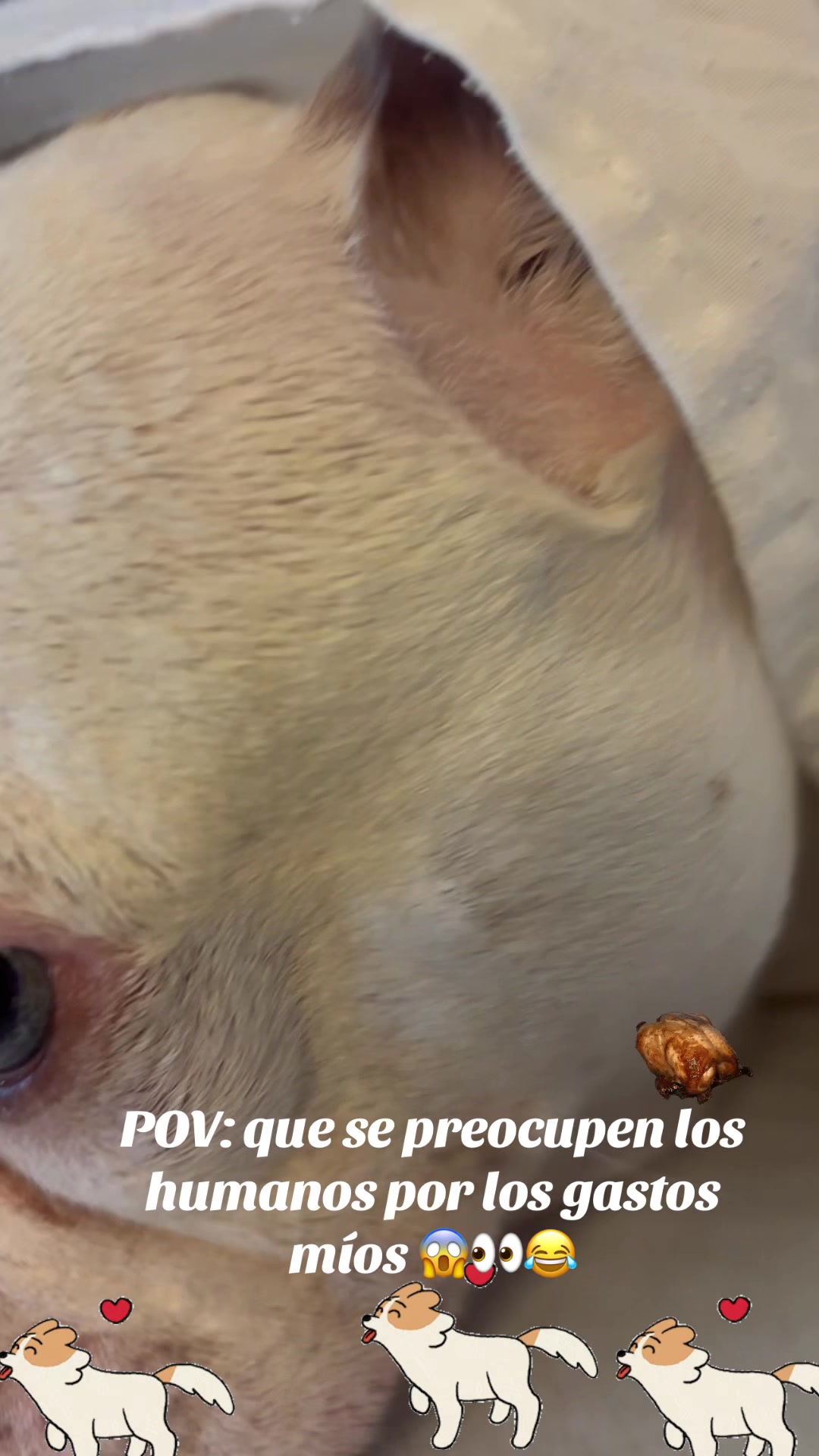 @los3huevertos