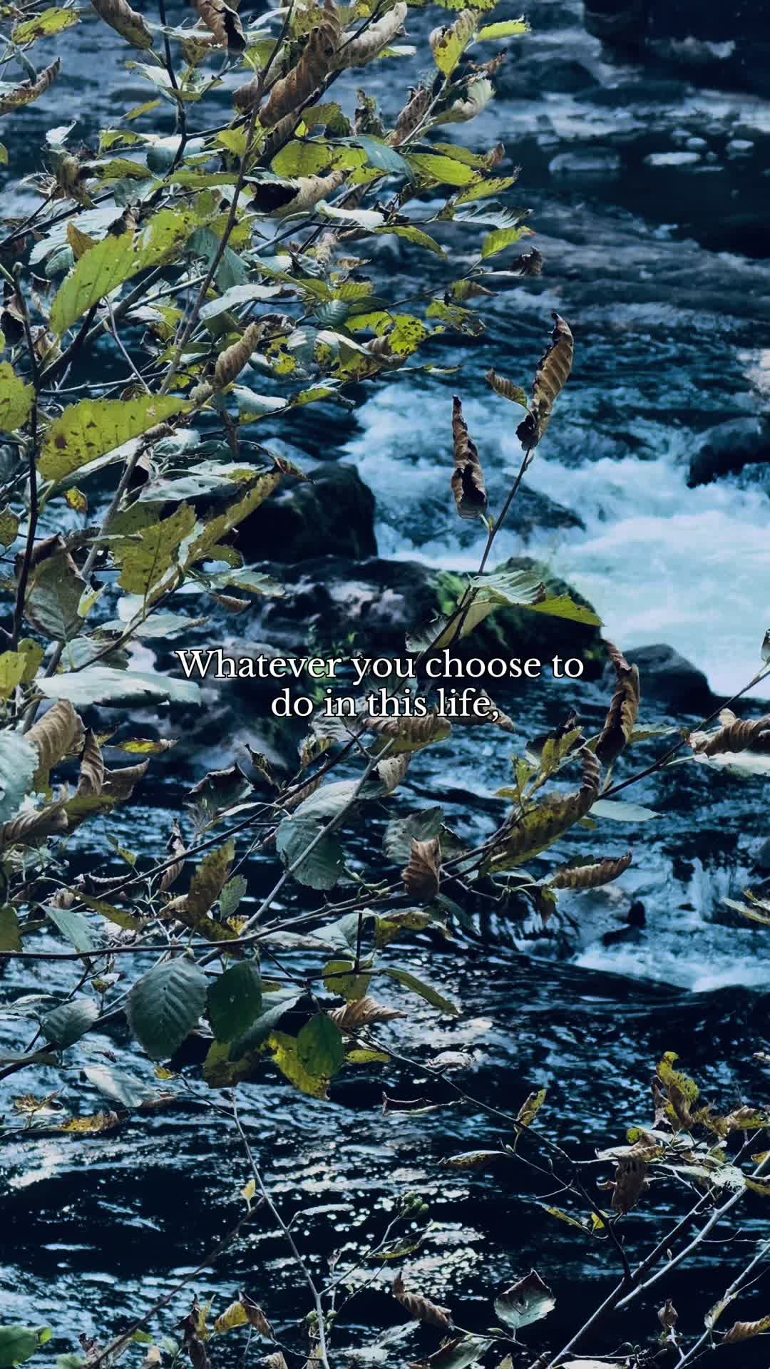 @liveinthemoment