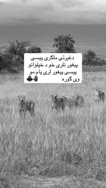 @🥷🏿کــــپــــچــــه🥷🏿