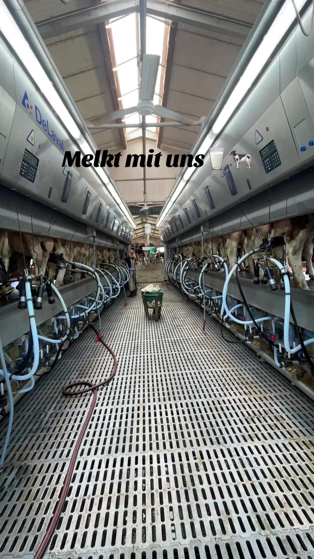 @farmgirl