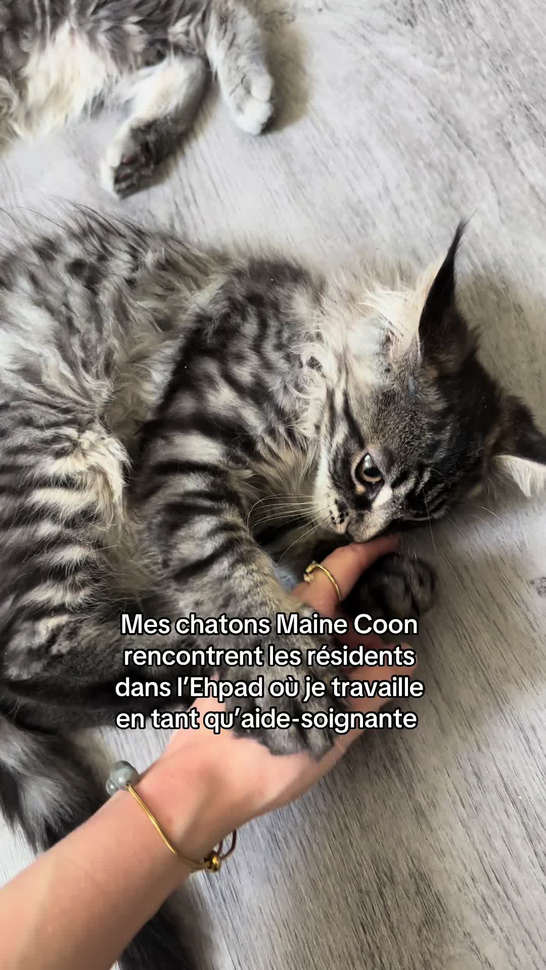 @•Emmanuelle. Éleveuse pro'•