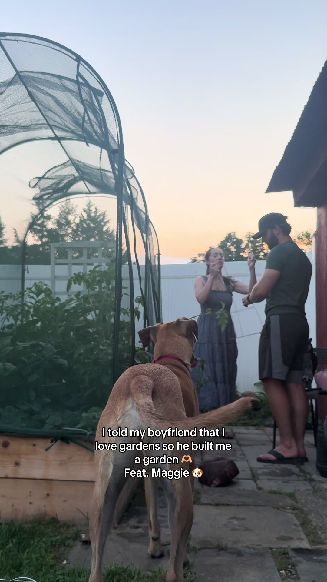 @Maggiemaytheshepherd