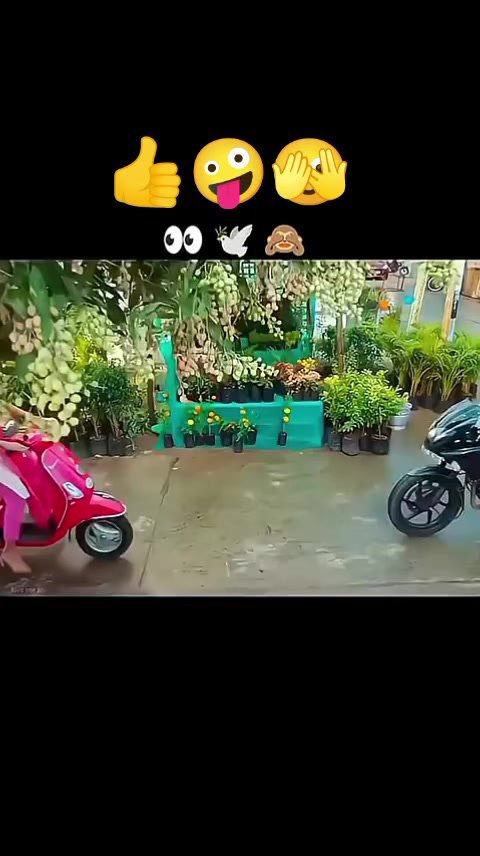 @md hamirul1010