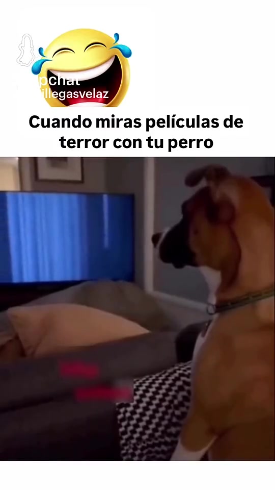 @Luis Lpz7
