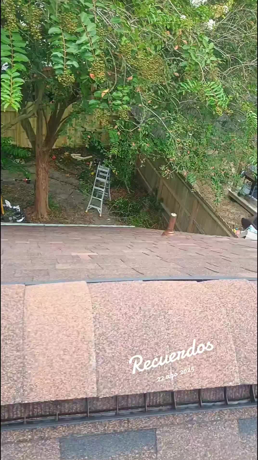 @täcastro๐๐๐ฆ๐ซง
