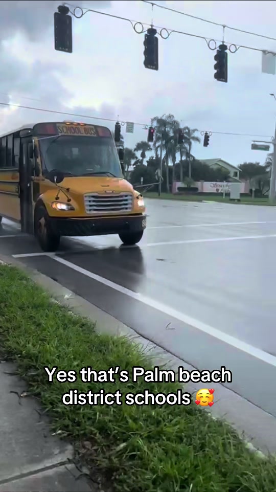 @palmbeachtransportation