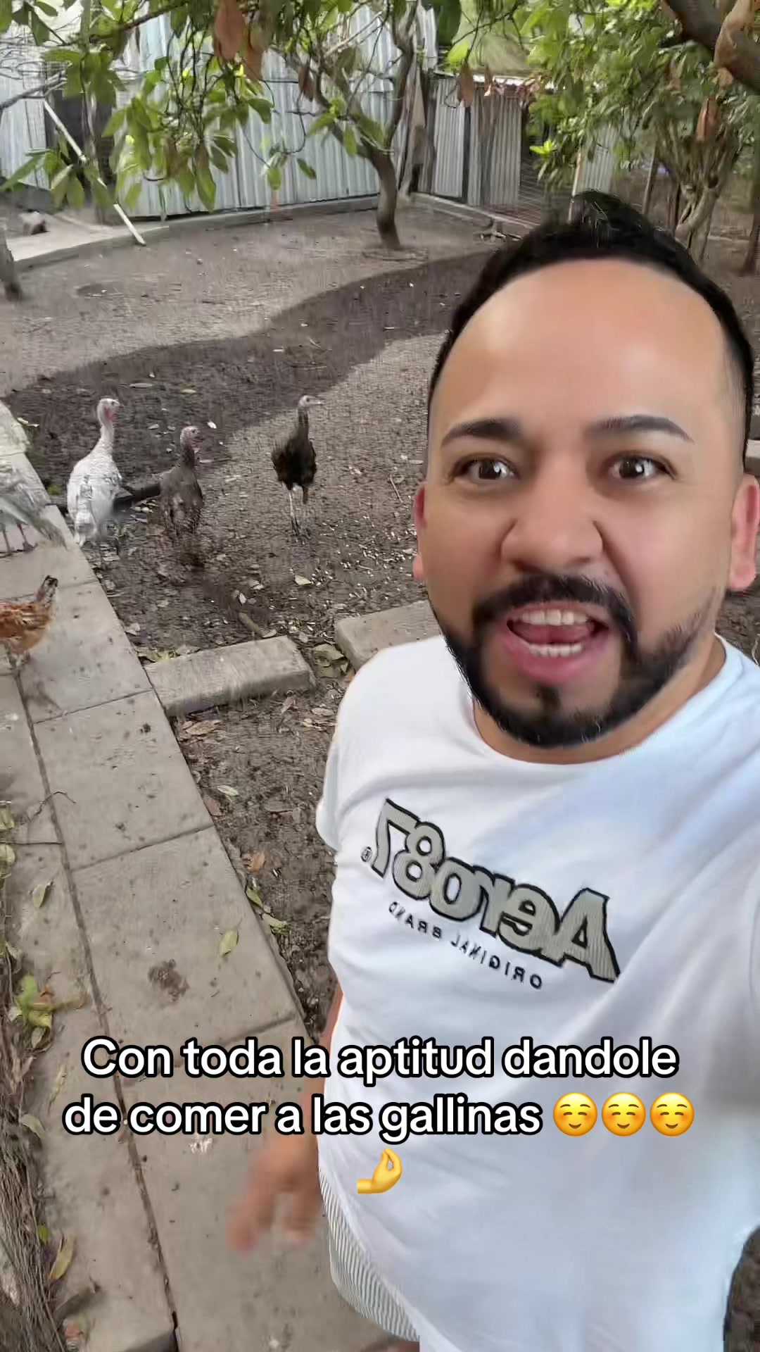 @Antonio 🐈🐈