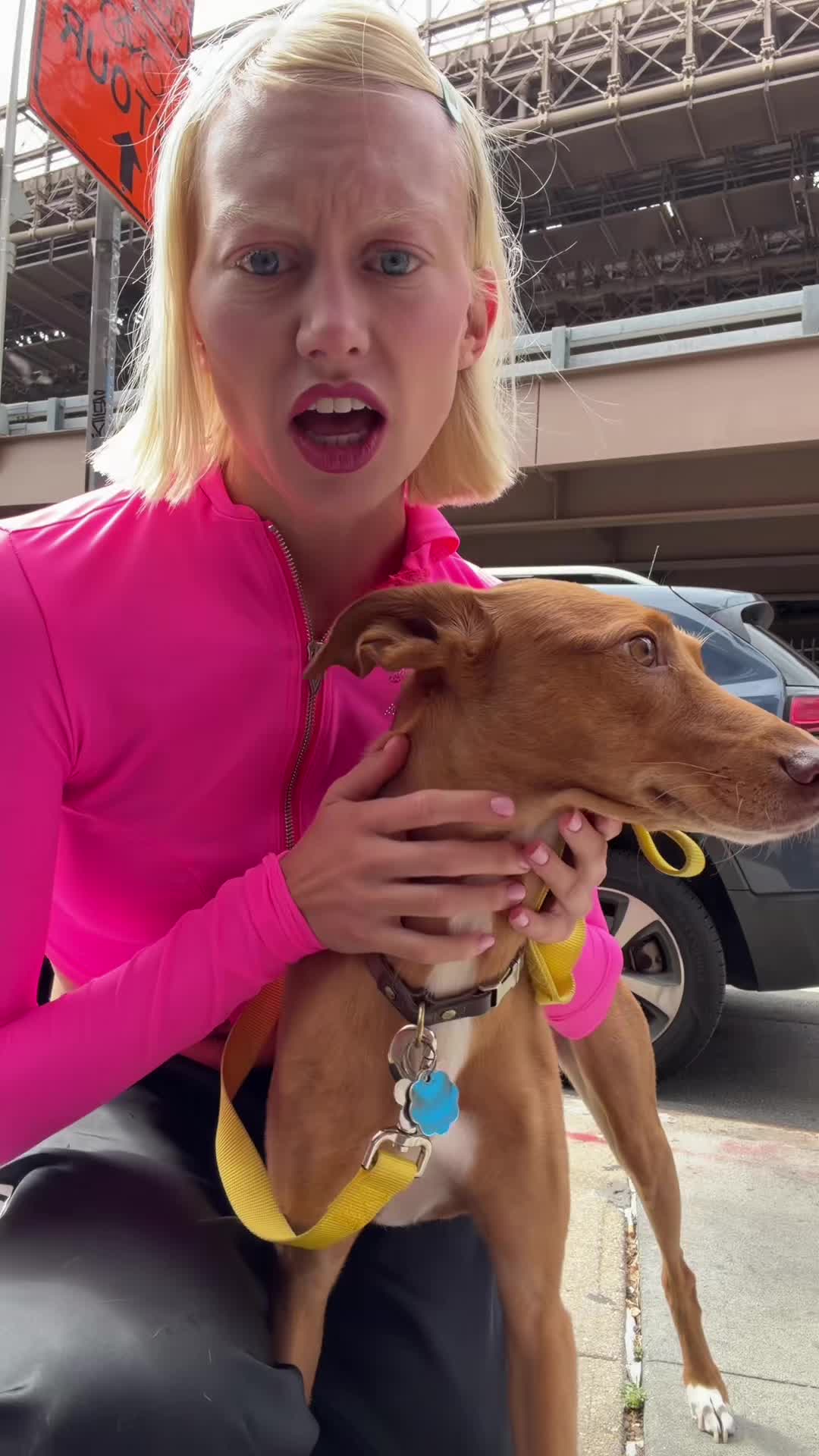@KITTY