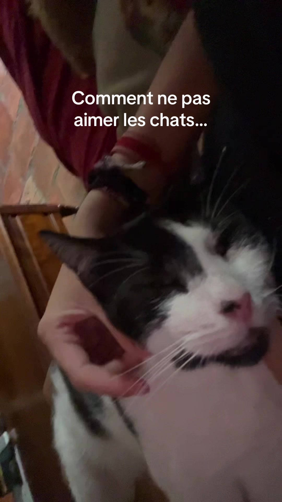 @lu&rsquo;
