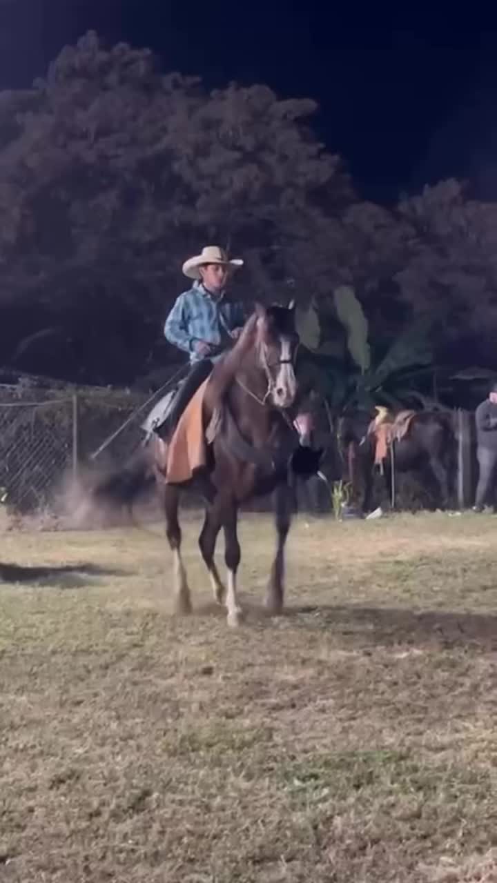 @K.borja🐴
