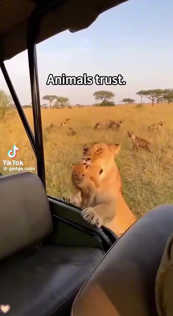 @riellius69