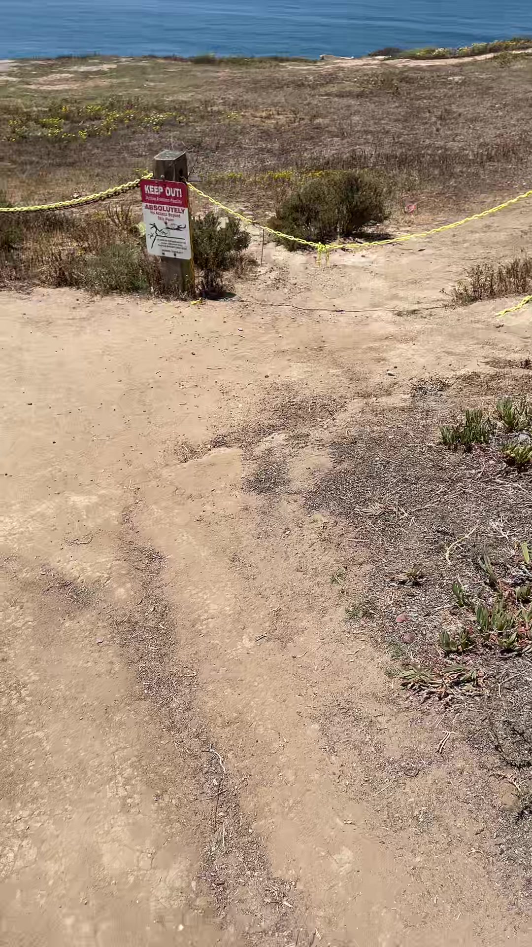 @gRuben tapia