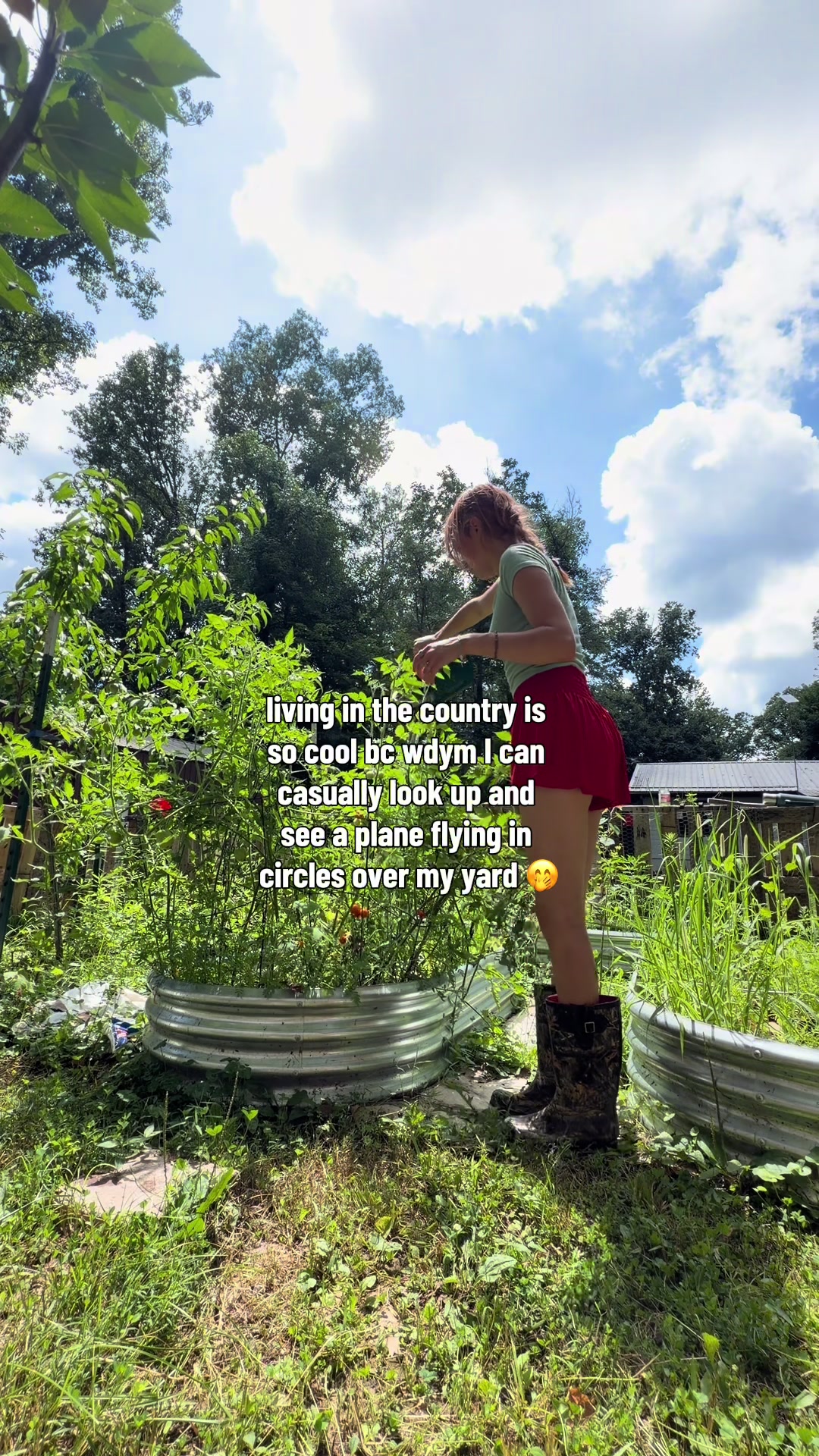 @Haley The Homesteader