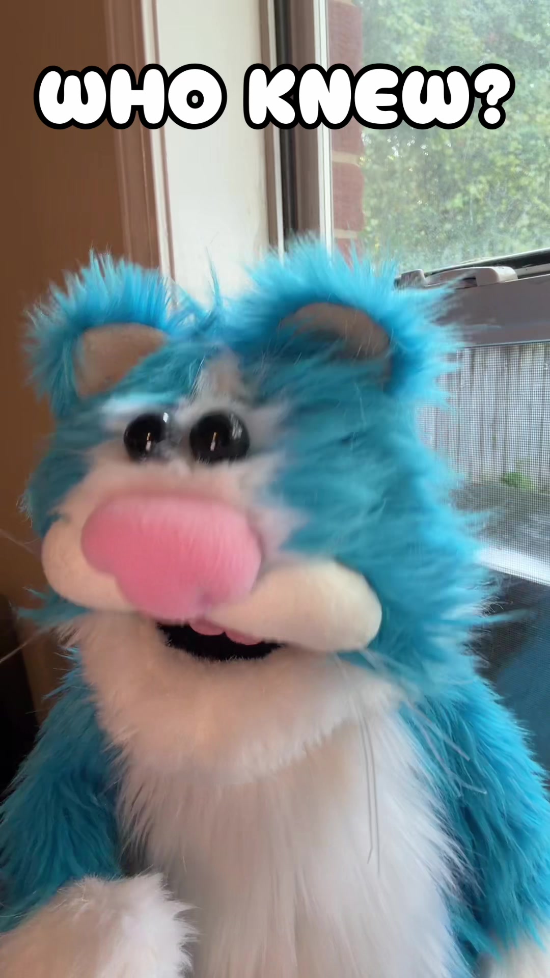 @PuppetTakeover